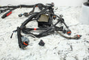 2009 POLARIS SPORTSMAN XP 550 EPS Main Wiring Harness Wire 2411326 2411187-031