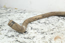 2009 POLARIS SPORTSMAN XP 550 EPS Radiator Hoses Coolant Lines 1240409 12404476
