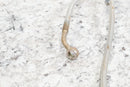 2009 POLARIS SPORTSMAN XP 550 EPS Rear Brake Line Hose 19110622