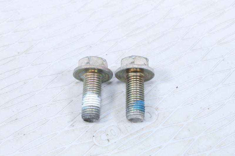 2011 Polaris Sportsman 850 EPS Rear Brake Caliper Mounting Bolts 7518760