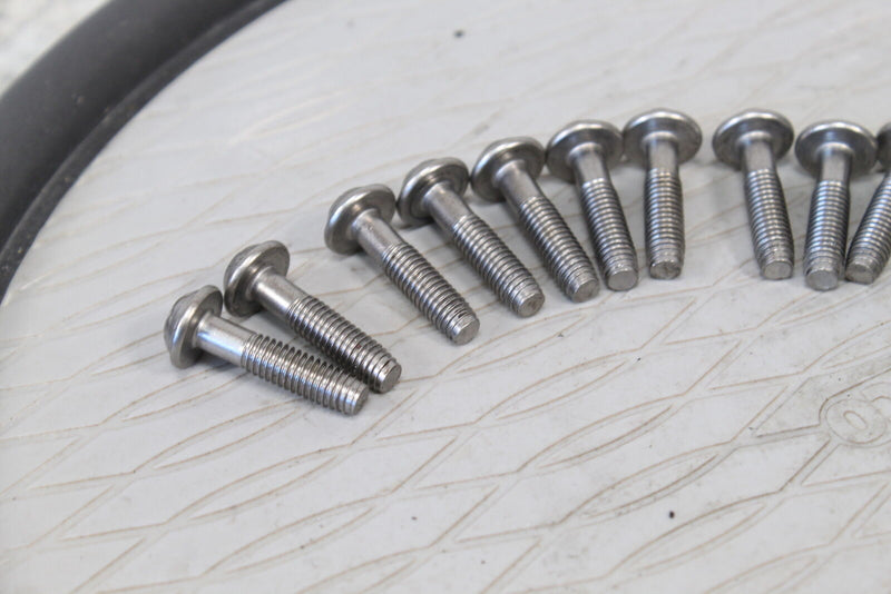 2015 SEA-DOO SPARK 2 UP 900 ACE Side Oil Pump Cover Bolts 420841548 - Watercraft
