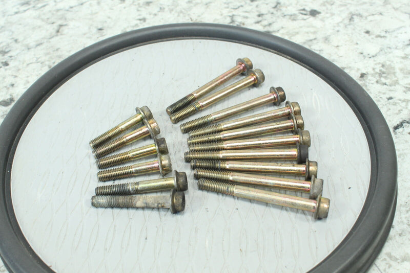 2016 POLARIS PRO RMK 800 AXYS Crankcase Bolts 7517784 - Snowmobile
