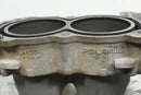 2017 POLARIS RZR TRAIL 900 50’’ OEM Cylinders Jugs with Pistons 3023155