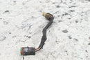 2017 SKI-DOO SUMMIT X 850 Water Temperature Temp Sensor 420664507 _ - Snowmobile
