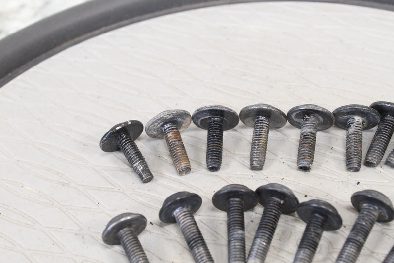 2017 TEXTRON ARCTIC CAT STAMPEDE 900 EPS Floorboard Mounting Bolts 644969 - ATV