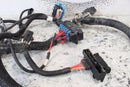2017 TEXTRON ARCTIC CAT STAMPEDE 900 EPS Rear Main Wiring Harness 646198 - ATV