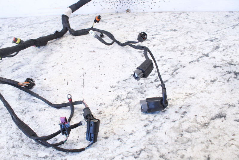 2018 SKI-DOO SUMMIT X 850 Engine Wire Harness SHOT 420864445 - Snowmobile