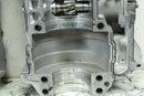 2019 ARCTIC CAT M8000 MOUNTAIN CAT ALPHA Crank Cases Main Crankcases 1901 00212