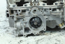 2019 ARCTIC CAT M8000 MOUNTAIN CAT ALPHA Crank Cases Main Crankcases 1901 0021