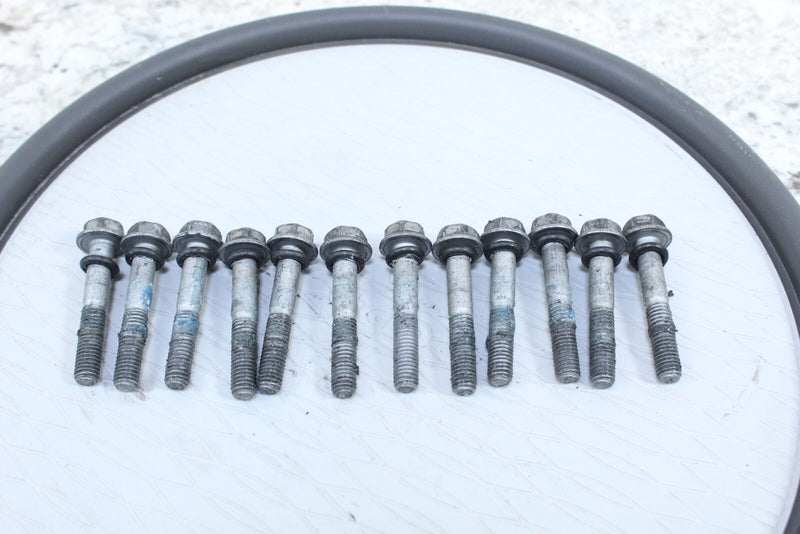2019 ARCTIC CAT M8000 MOUNTAIN CAT ALPHA ONE 165 Cylinder Head Bolts 0923-012 - Snowmobile