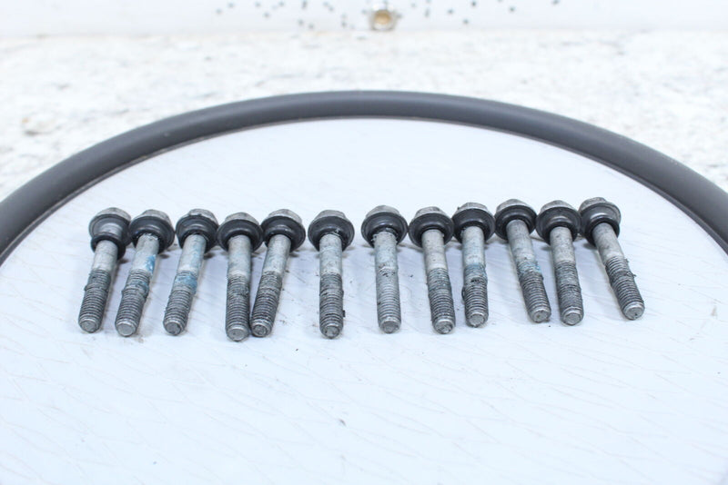2019 ARCTIC CAT M8000 MOUNTAIN CAT ALPHA ONE 165 Cylinder Head Bolts 0923-012 - Snowmobile