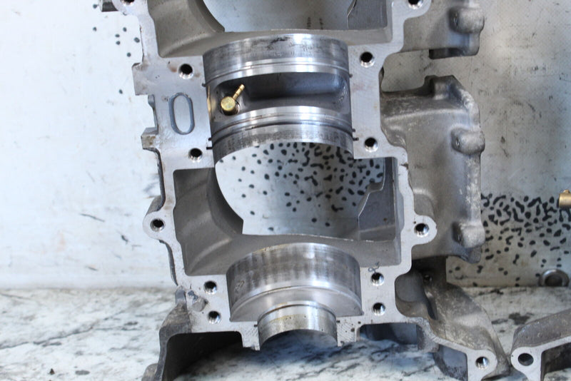 Polaris Pro RMK 850 AXYS Crank Cases 2208236