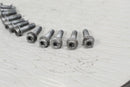 2020 ARCTIC CAT M8000 HARDCORE ALPHA ONE Intake Manifold Mounting Bolts 0923-025 - Snowmobile