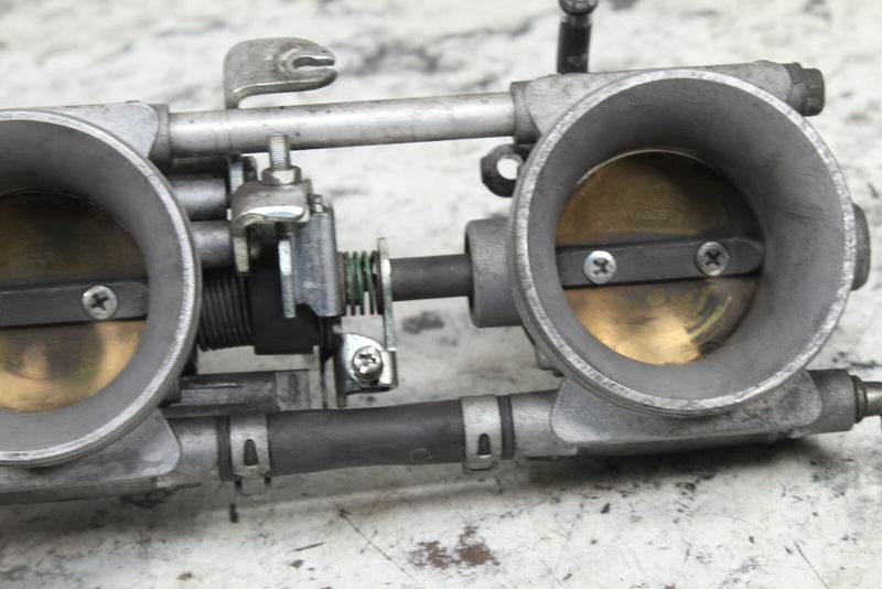 2020 ARCTIC CAT M8000 HARDCORE ALPHA ONE Throttle Bodies TPS