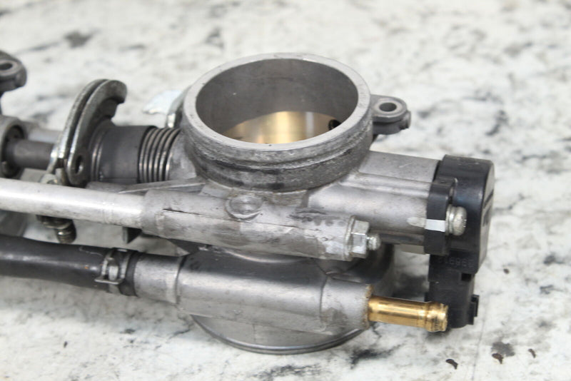 2020 ARCTIC CAT M8000 HARDCORE ALPHA ONE Throttle Bodies TPS