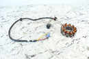 2020 HUSQVARNA FC250 FC 250 OEM Stator Generator 79239004100 79239004200 - Motorcycle