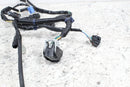 2021 2019-2026 HONDA TALON 1000 X Engine Sub Wire Harness Wiring 32104-HL7-A209
