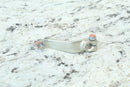 2021 HONDA TALON 1000 X Shift Change Arm  54312-HL6-A000