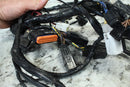 2007 YAMAHA GRIZZLY 700 Main Wiring Harness Wire Loom 3B4-82590-00-0011